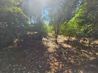 Fazenda/Sítio com 2 Quartos à venda, 67m² no Centro, Ipiguá