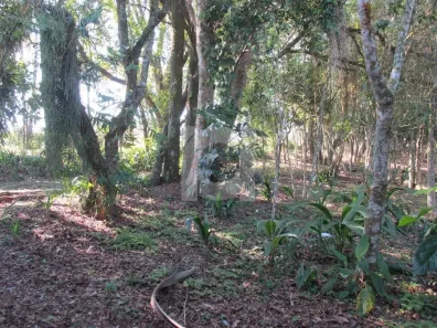 Imóvel Comercial à venda, 4319m² no Rincão do Cascalho, Portão