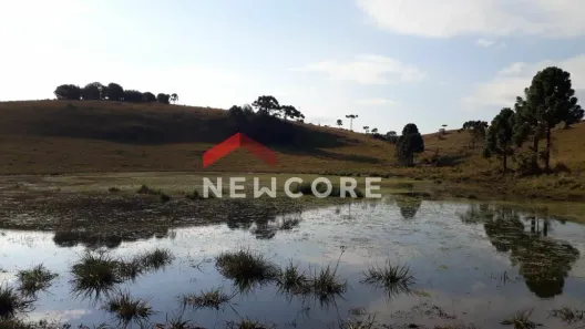 Fazenda/Sítio com 1 Quarto à venda, 340000m² no Centro, São Francisco de Paula