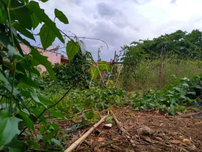 Lote/Terreno à venda, 557m² no Sousas, Campinas