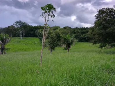 Fazenda/Sítio com 7 Quartos à venda, 2900000m² no Zona Rural, General Carneiro