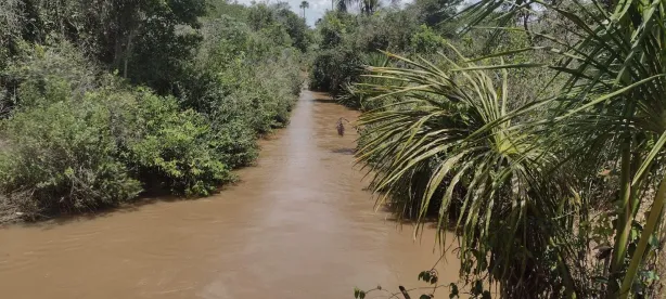 Fazenda/Sítio com 3 Quartos à venda, 12650000m² no , Aparecida do Taboado