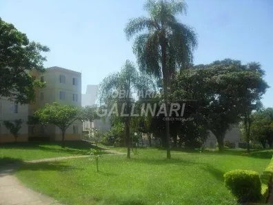 Apartamento com 2 Quartos à venda, 62m² no Conjunto Residencial Parque Bandeirantes, Campinas