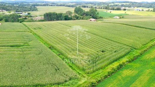 Fazenda/Sítio à venda, 20111m² no , Campo Alegre