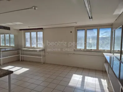 Prédio Comercial para alugar, 260m² no Centro, São José do Rio Preto