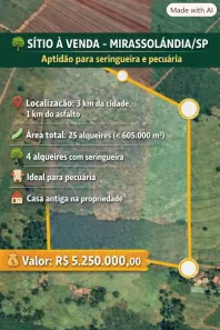Fazenda/Sítio com 2 Quartos à venda, 605000m² no Área Rural de Mirassolândia, Mirassolândia