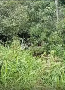 Lote/Terreno à venda, 1800m² no Balneario Gaivotas, Itanhaém