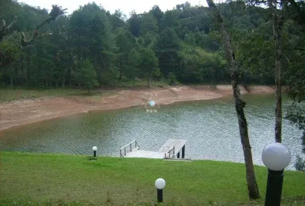 Fazenda/Sítio com 4 Quartos à venda, 21945m² no , Tijucas do Sul
