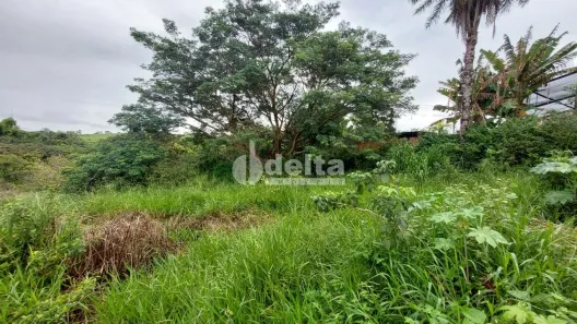 Lote/Terreno para alugar, 3648m² no Shopping Park, Uberlândia