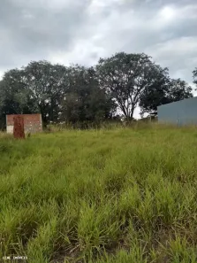 Fazenda/Sítio à venda, 950m² no , Álvares Machado