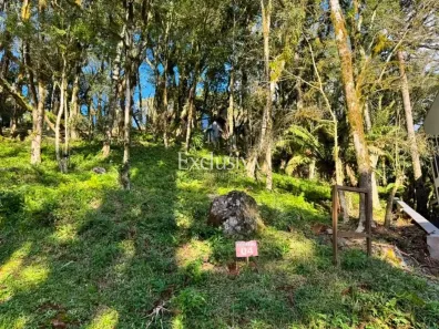 Lote/Terreno à venda, 1128m² no Caracol, Canela