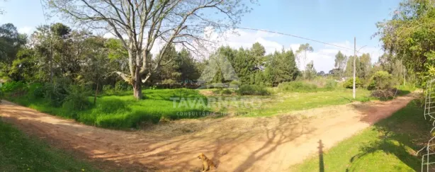 Lote/Terreno à venda, 465m² no Guaragi, Ponta Grossa