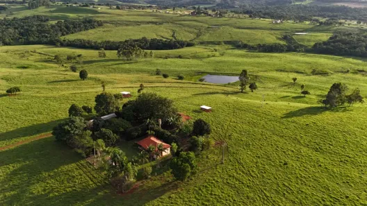 Fazenda/Sítio com 2 Quartos à venda, 295000m² no Área Rural de Itapetininga, Itapetininga