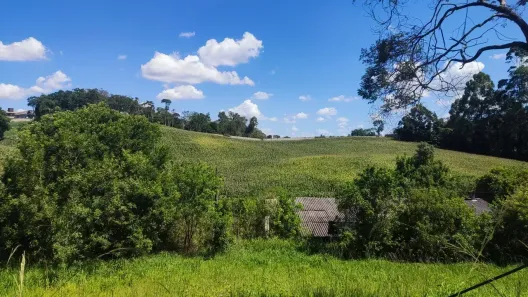 Galpão/Depósito/Armazém para alugar, 1000m² no Jardim Cecilia, Campo Magro