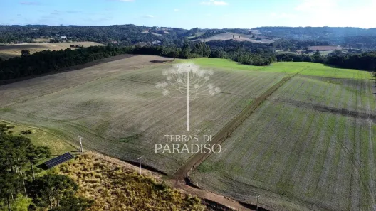 Fazenda/Sítio à venda, 20094m² no , Campo Alegre