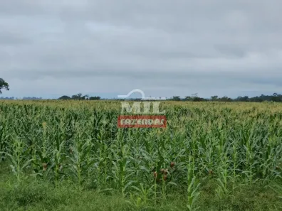 Fazenda/Sítio à venda, 500m² no Serra Pelada, Marabá