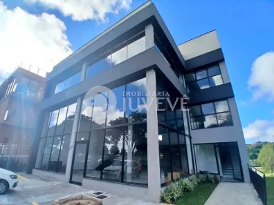 Sala Comercial para alugar, 254m² no Alphaville Graciosa, Pinhais
