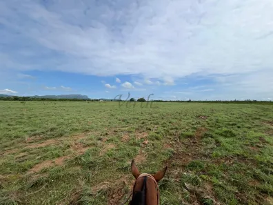 Fazenda/Sítio com 5 Quartos à venda, 1500m² no Setor Central, Taipas do Tocantins