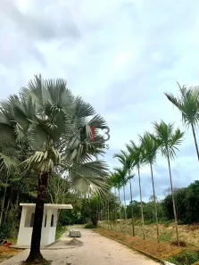 Lote/Terreno à venda, 152m² no Guaratiba, Rio de Janeiro