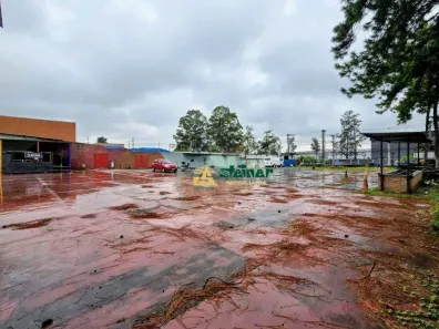 Lote/Terreno para alugar, 4000m² no Vila Flórida, Guarulhos