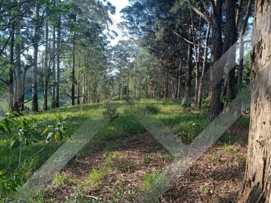 Lote/Terreno à venda, 13000m² no Quintas do Ingaí, Santana de Parnaíba