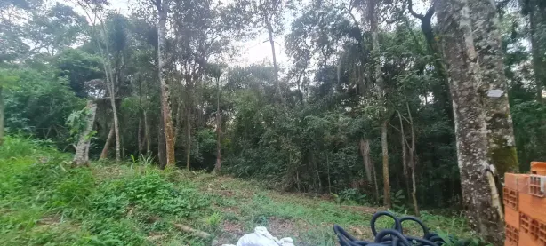 Lote/Terreno à venda, 2960m² no Caraguatá, Mairiporã