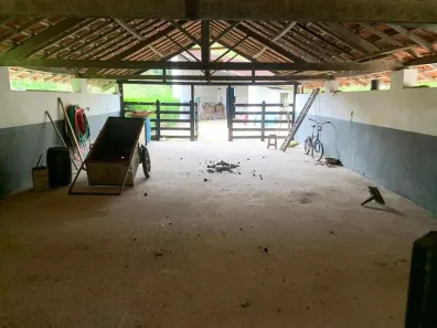 com 4 Quartos à venda, 10000m² no Centro, Pindamonhangaba
