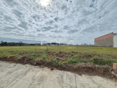 Lote/Terreno à venda, 250m² no Jardim Letícia, São Carlos