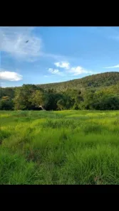 Fazenda/Sítio com 5 Quartos à venda, 4549600m² no , Formoso