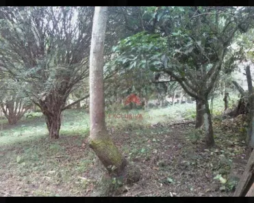 Fazenda/Sítio com 2 Quartos à venda, 8000m² no Putim, São José dos Campos