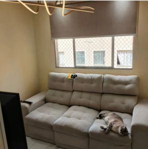 Apartamento com 3 Quartos à venda, 63m² no Paraisópolis, São Paulo