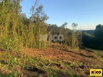 Fazenda/Sítio com 1 Quarto à venda, 5000m² no Linha Nova, Linha Nova