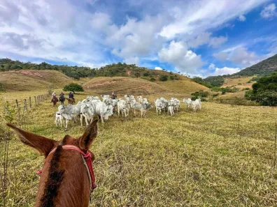 Fazenda/Sítio com 6 Quartos à venda, 8960000m² no , Antônio Dias