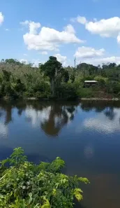 Fazenda/Sítio com 5 Quartos à venda, 1400m² no , Amajari