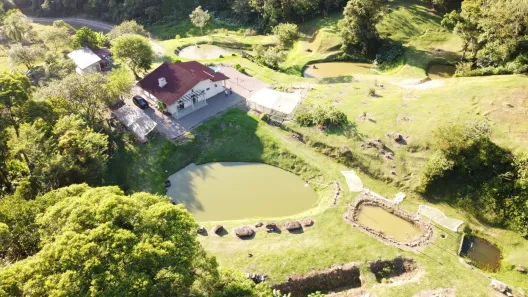 Fazenda/Sítio com 3 Quartos à venda, 60000m² no Antonina, Antonina