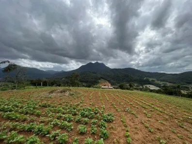 Fazenda/Sítio com 5 Quartos à venda, 120m² no Jacu Acu, Guaramirim