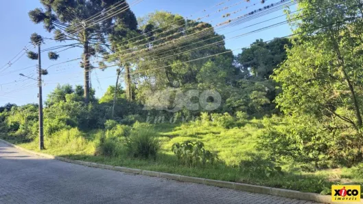 Lote/Terreno à venda, 550m² no Nova Petrópolis, Nova Petrópolis
