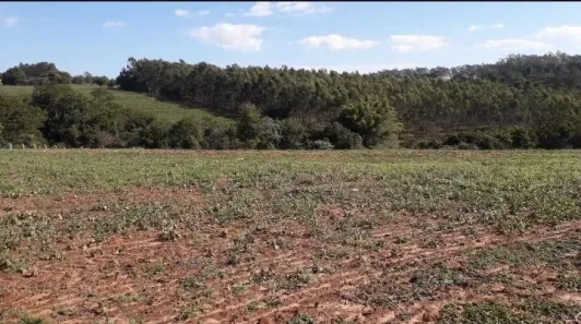 Fazenda/Sítio com 3 Quartos à venda, 100m² no Presidente Castelo Branco, Presidente Castelo Branco