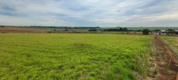 Lote/Terreno à venda, 50000m² no Residencial Liliana Tenuto Rossi, Ribeirão Preto