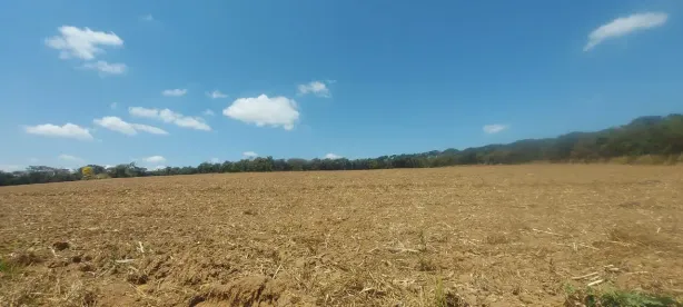 Fazenda/Sítio à venda, 140000m² no , Itaguara