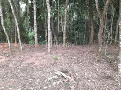 Lote/Terreno à venda, 410m² no Jardim Peri, São Paulo