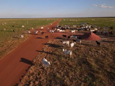 Fazenda/Sítio à venda, 500m² no Porto Seguro, Porto Seguro