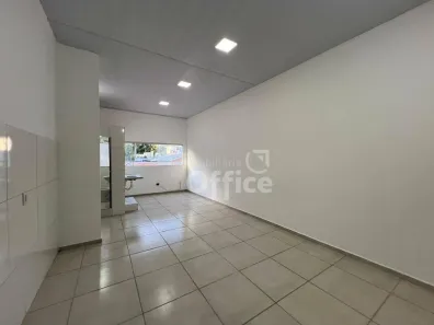 Kitnet com 1 Quarto para alugar, 36m² no Antônio Fernandes, Anápolis