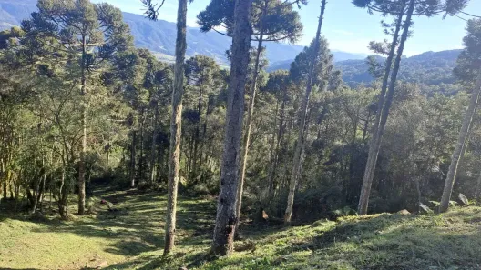 Lote/Terreno à venda, 24000m² no , Urubici