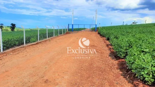 Fazenda/Sítio à venda, 1500m² no Jardim Adriana II, Londrina