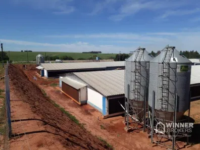 Fazenda/Sítio à venda, 121000m² no Br, Nova Esperança