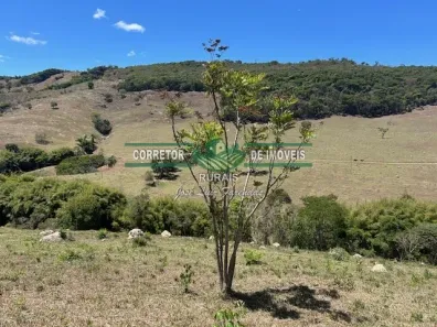 Fazenda/Sítio à venda, 180m² no , Baependi