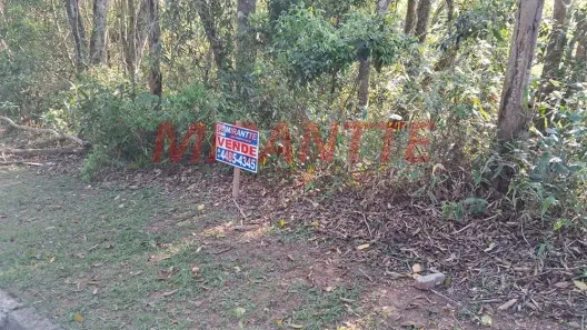 Lote/Terreno à venda, 1250m² no Boa Vista, Mairiporã