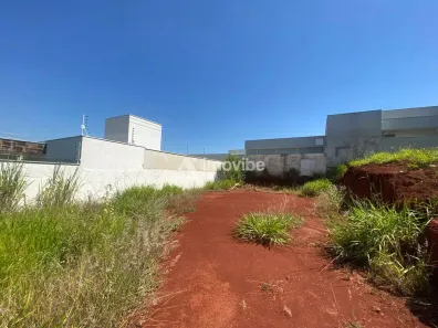 Lote/Terreno à venda, 250m² no Terras de Santa Bárbara, Santa Bárbara D'Oeste