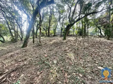 Lote/Terreno à venda, 1481m² no Vila de São Fernando, Cotia